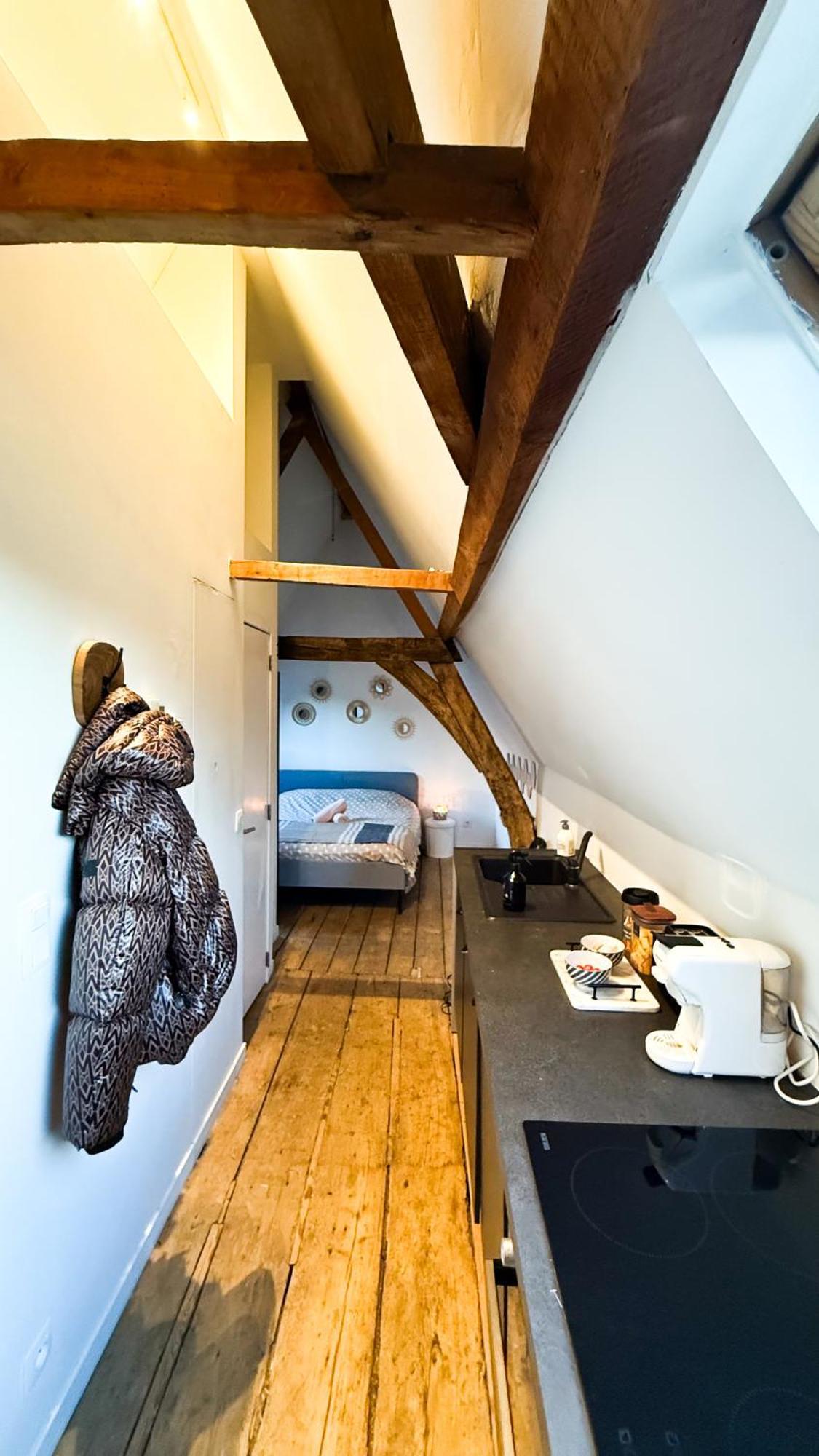 Cosy Authentiek Penthouse Apartment Antwerp Luaran gambar