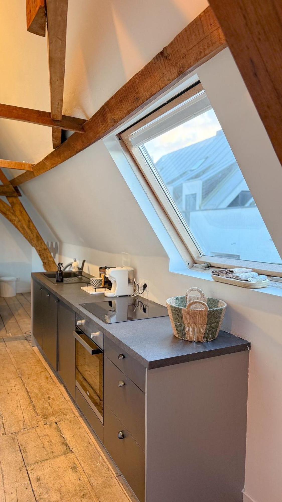 Cosy Authentiek Penthouse Apartment Antwerp Luaran gambar