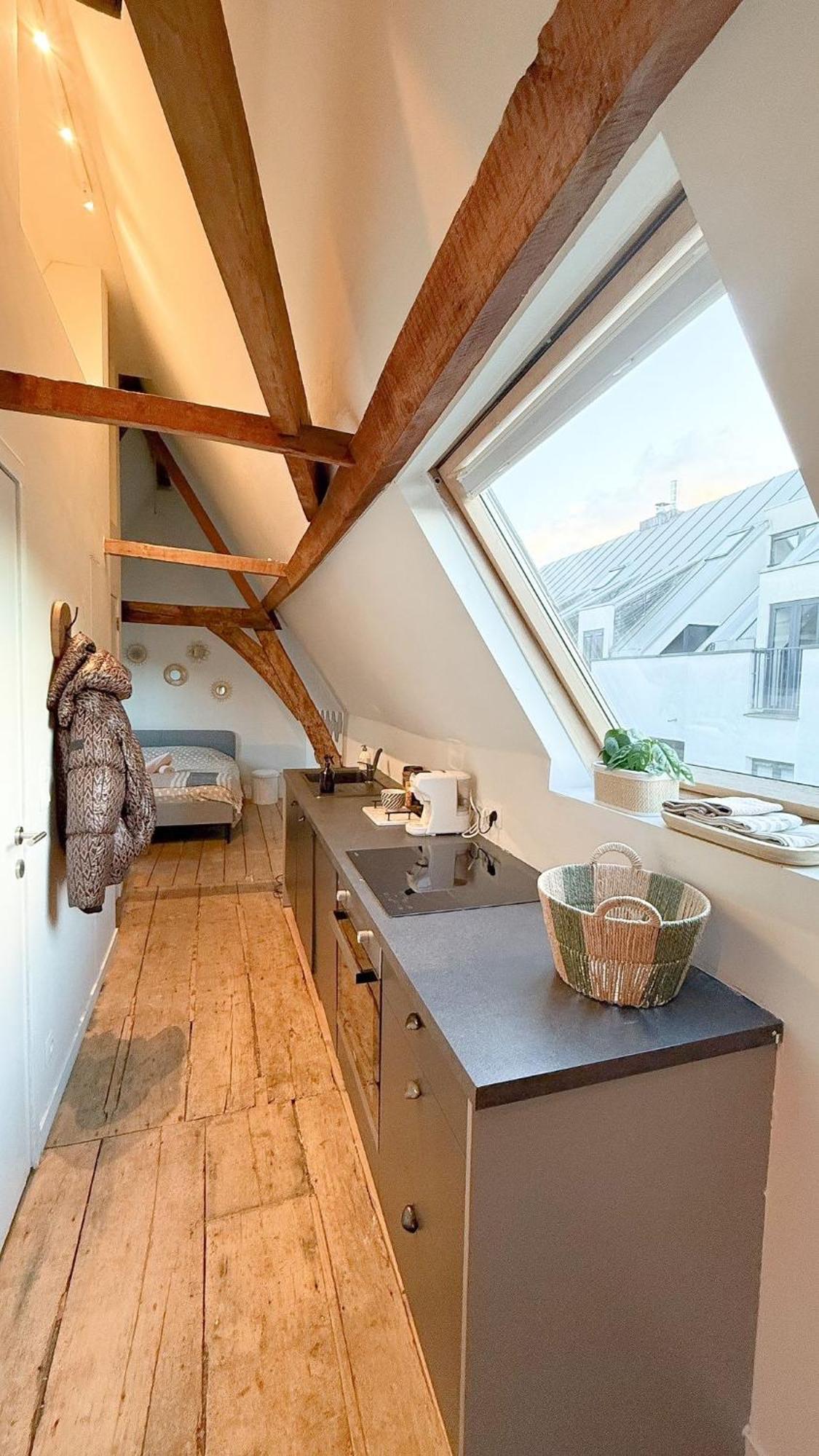 Cosy Authentiek Penthouse Apartment Antwerp Luaran gambar