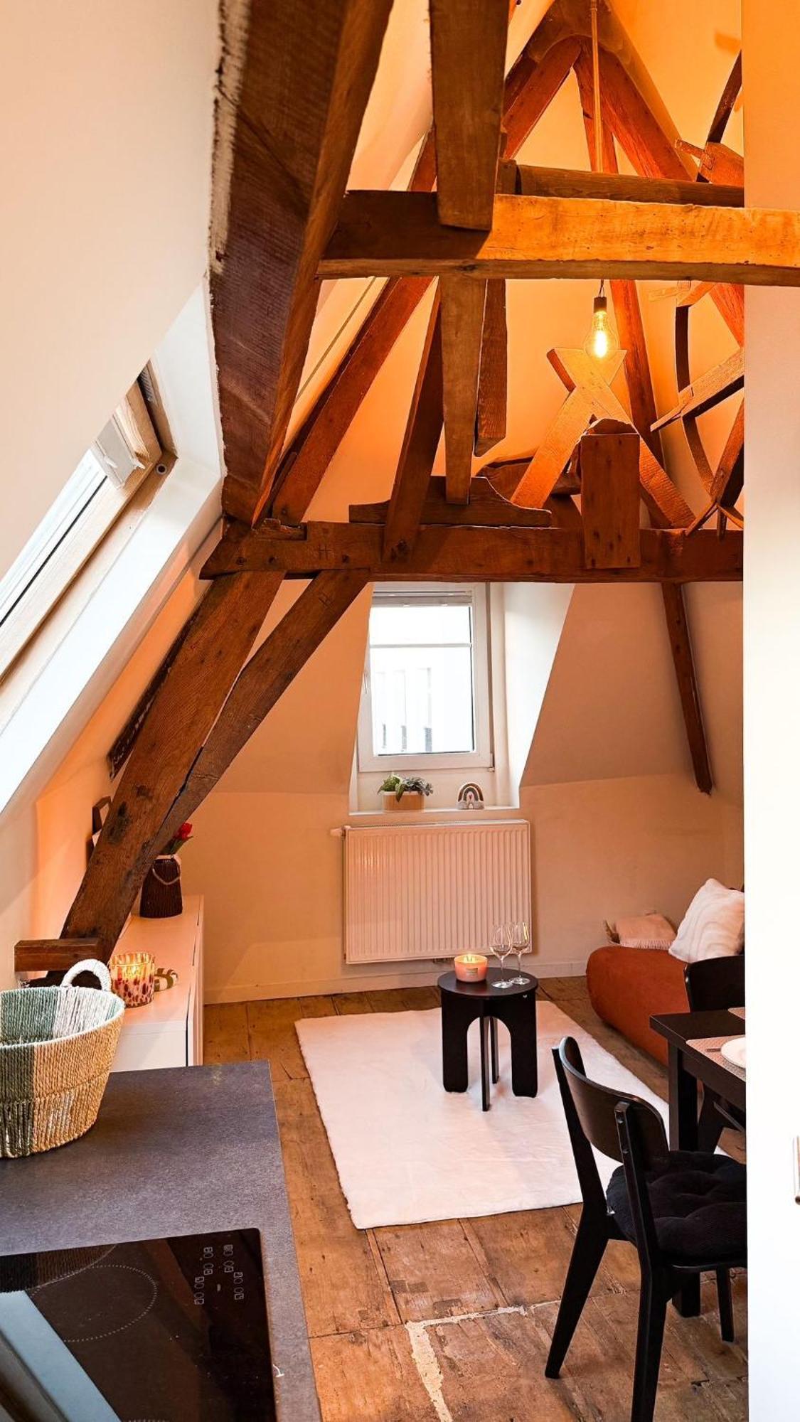 Cosy Authentiek Penthouse Apartment Antwerp Luaran gambar