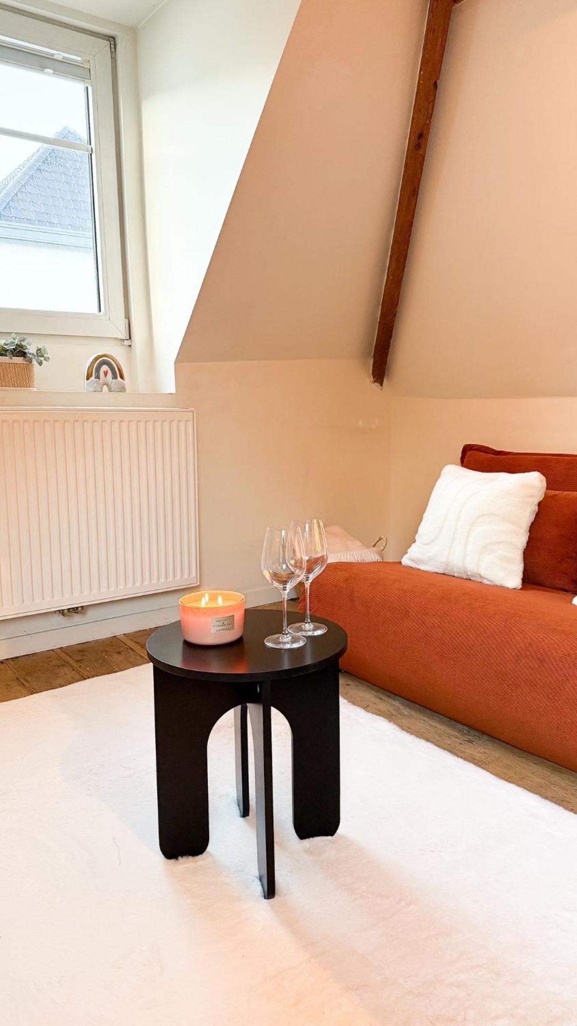 Cosy Authentiek Penthouse Apartment Antwerp Luaran gambar