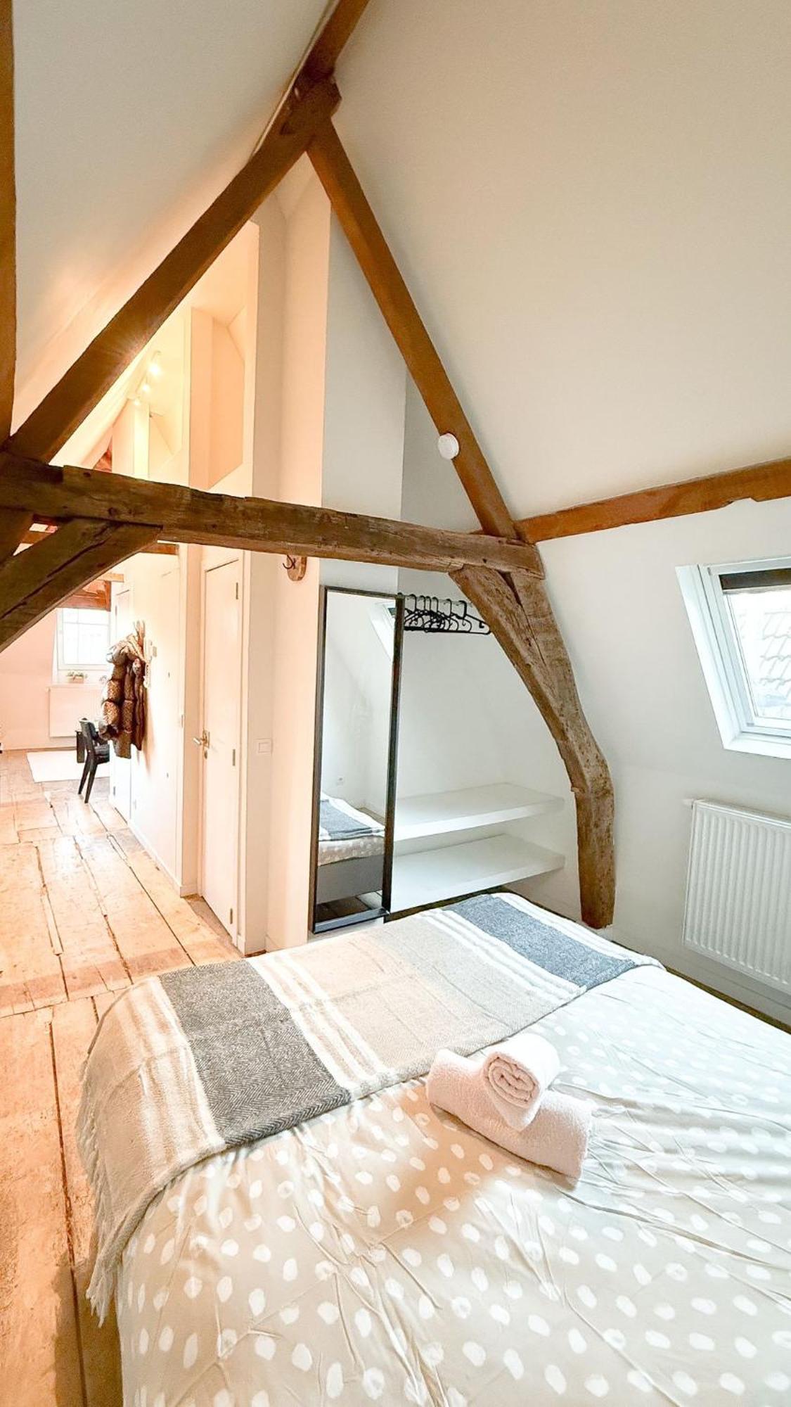 Cosy Authentiek Penthouse Apartment Antwerp Luaran gambar